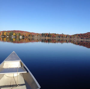 Meet your Posher, Jeff
